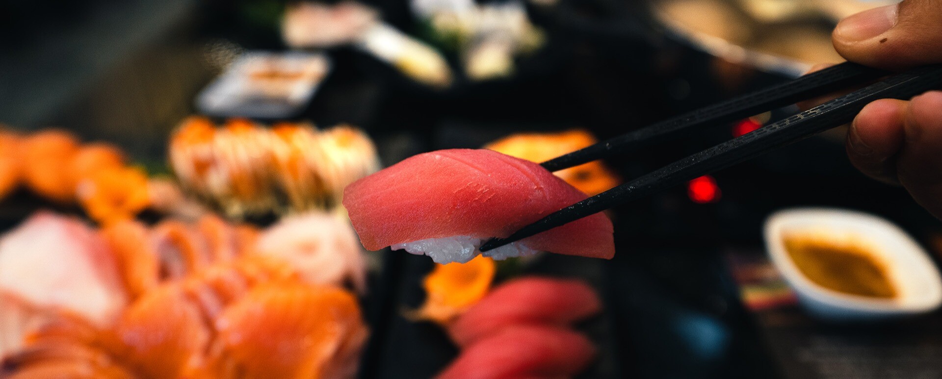 Fusce sit amet placerat libero, at sagittis nulla